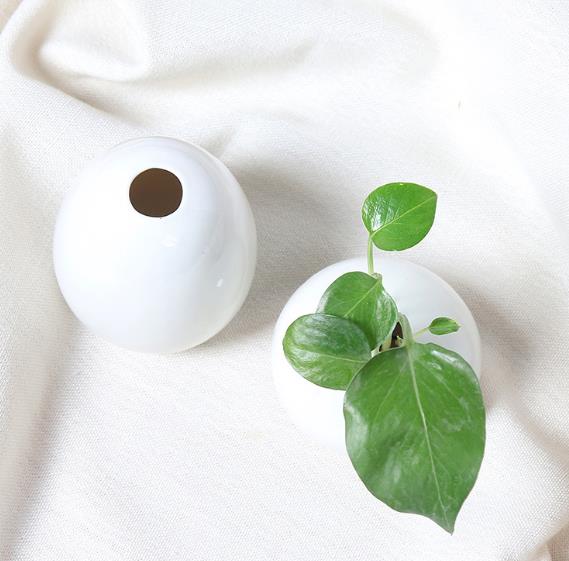 Small fresh ceramic vase