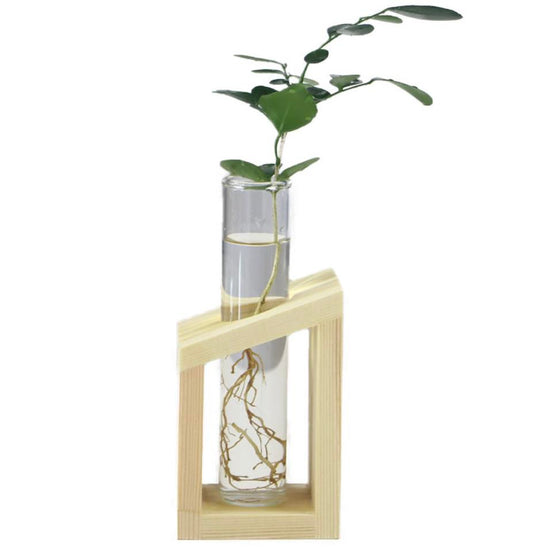 Test tube glass vase ornaments creative wooden frame hydroponic plant container home desktop decorations