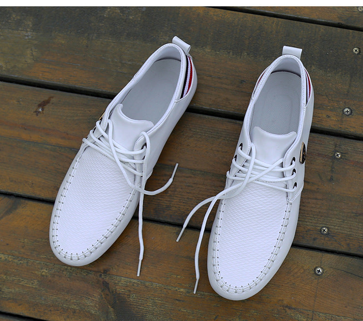 Spring and Autumn men's casual shoes