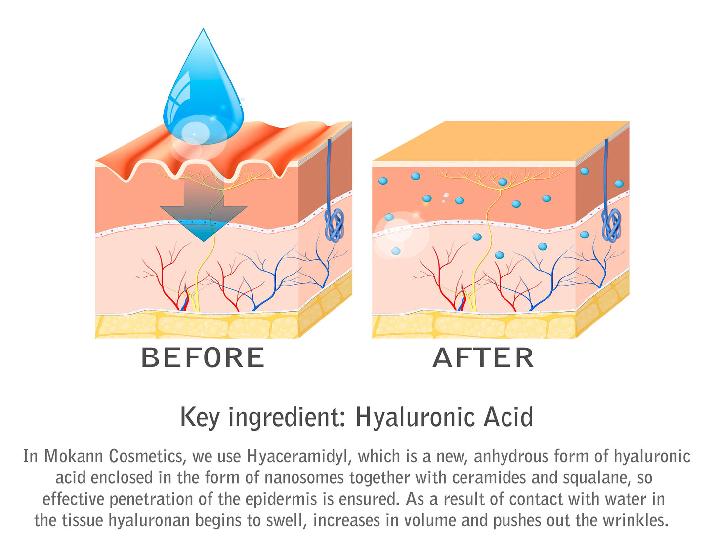 Liposomal Eye Serum Cucumber With Hyaluronic Acid, Ceramides, Vitamin E