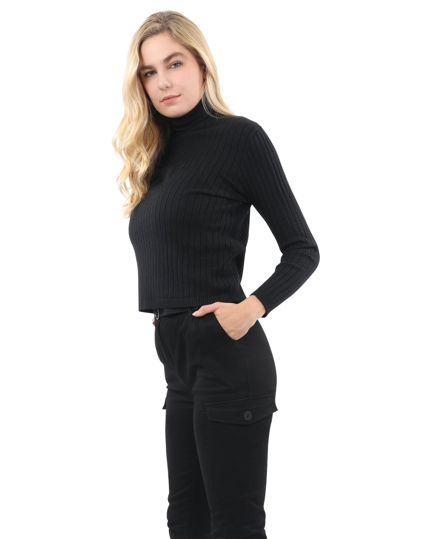 Roxbury Ribbed Turtleneck Sweater - Black