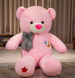 Giant Bear 60-100cm Big Star Moon Teddy Bear Plush Toy